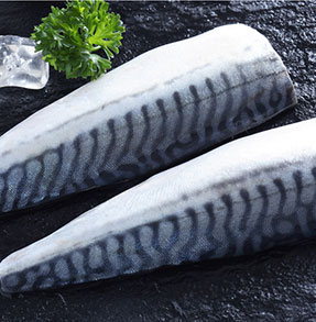 鲐鱼片（Atlantic Mackerel Fillet）